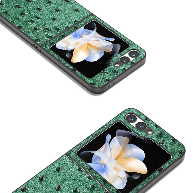 ABEEL Genuine Leather Ostrich Texture Phone Case