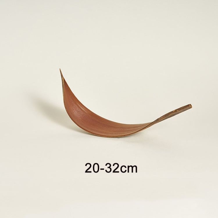 Cocoa Leaves Natural Plant Shooting Props Dry Flower Ornaments