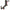Microphone Flex Cable For Apple Watch Series 3 38mm (LTE), For Series 3 38mm (LTE)