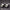 2 PCS DC 12-24V 6W 800LM 2-LED Car Angel Eyes Light Bulb for BMW E90/E91, (White Light), E90/E91-6W