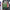 TPU + Epoxy Flash Diamond Tri-Color Gradient Phone Protective Case, for iPhone XS / X, for iPhone XS Max
