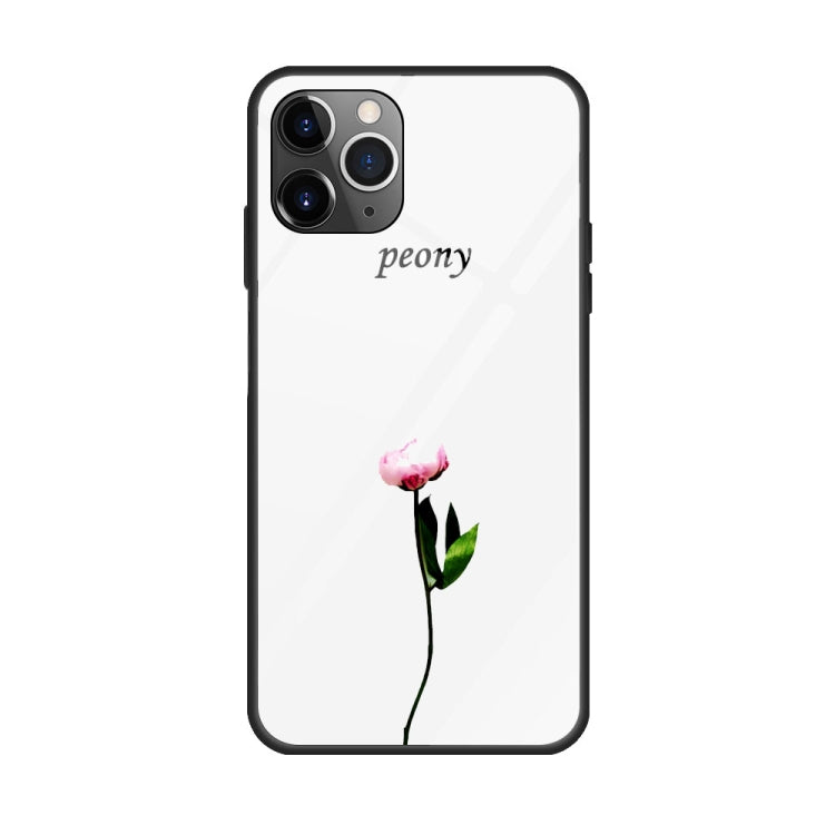 Colorful Painted Glass Case, For iPhone 11, For iPhone 11 Pro, For iPhone 11 Pro Max