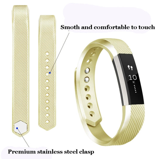 Metallic Strap
