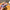 Oil Painting Pattern Glossy PC Phone Case, For iPhone XR, For iPhone XS Max, For iPhone 8 Plus / 7 Plus