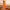 Litchi Texture Genuine Leather Phone Case, For vivo S17 Pro, For vivo S16 / S16 Pro, For vivo S17, For vivo X90 Pro, For vivo X90, For vivo X90 Pro+