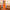 Litchi Texture Genuine Leather Phone Case, For vivo S17 Pro, For vivo S16 / S16 Pro, For vivo S17, For vivo X90 Pro, For vivo X90, For vivo X90 Pro+