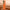 Litchi Texture Genuine Leather Phone Case, For vivo S17 Pro, For vivo S16 / S16 Pro, For vivo S17, For vivo X90 Pro, For vivo X90, For vivo X90 Pro+