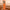 Litchi Texture Genuine Leather Phone Case, For vivo S17 Pro, For vivo S16 / S16 Pro, For vivo S17, For vivo X90 Pro, For vivo X90, For vivo X90 Pro+