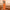 Litchi Texture Genuine Leather Phone Case, For vivo S17 Pro, For vivo S16 / S16 Pro, For vivo S17, For vivo X90 Pro, For vivo X90, For vivo X90 Pro+