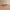 Litchi Texture Genuine Leather Phone Case, For vivo S17 Pro, For vivo S16 / S16 Pro, For vivo S17, For vivo X90 Pro, For vivo X90, For vivo X90 Pro+