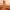 Litchi Texture Genuine Leather Phone Case, For Huawei nova 11 Pro, For Huawei Mate 60, For Huawei nova 11, For Huawei Mate 60 Pro, For Huawei P50 Pro, For Huawei Mate 50 RS, For Huawei Mate 50 Pro, For Huawei P50, For Huawei Mate 50, For Huawei Mate 40...