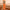 Litchi Texture Genuine Leather Phone Case, For Huawei nova 11 Pro, For Huawei Mate 60, For Huawei nova 11, For Huawei Mate 60 Pro, For Huawei P50 Pro, For Huawei Mate 50 RS, For Huawei Mate 50 Pro, For Huawei P50, For Huawei Mate 50, For Huawei Mate 40...
