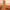 Litchi Texture Genuine Leather Phone Case, For Huawei nova 11 Pro, For Huawei Mate 60, For Huawei nova 11, For Huawei Mate 60 Pro, For Huawei P50 Pro, For Huawei Mate 50 RS, For Huawei Mate 50 Pro, For Huawei P50, For Huawei Mate 50, For Huawei Mate 40...