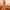 Litchi Texture Genuine Leather Phone Case, For Huawei nova 11 Pro, For Huawei Mate 60, For Huawei nova 11, For Huawei Mate 60 Pro, For Huawei P50 Pro, For Huawei Mate 50 RS, For Huawei Mate 50 Pro, For Huawei P50, For Huawei Mate 50, For Huawei Mate 40...