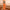 Litchi Texture Genuine Leather Phone Case, For Huawei nova 11 Pro, For Huawei Mate 60, For Huawei nova 11, For Huawei Mate 60 Pro, For Huawei P50 Pro, For Huawei Mate 50 RS, For Huawei Mate 50 Pro, For Huawei P50, For Huawei Mate 50, For Huawei Mate 40...