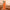 Litchi Texture Genuine Leather Phone Case, For iPhone 14 / 13, For iPhone 14 Pro, For iPhone 14 Pro Max, For iPhone 13 Pro Max, For iPhone 13 Pro, For iPhone 12, For iPhone 12 Pro Max, For iPhone 12 Pro