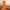 Litchi Texture Genuine Leather Phone Case, For iPhone 14 / 13, For iPhone 14 Pro, For iPhone 14 Pro Max, For iPhone 13 Pro Max, For iPhone 13 Pro, For iPhone 12, For iPhone 12 Pro Max, For iPhone 12 Pro