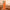 Litchi Texture Genuine Leather Phone Case, For iPhone 14 / 13, For iPhone 14 Pro, For iPhone 14 Pro Max, For iPhone 13 Pro Max, For iPhone 13 Pro, For iPhone 12, For iPhone 12 Pro Max, For iPhone 12 Pro