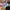 Starry Gradient Glitter Powder TPU Phone Case, For iPhone XS / X, For iPhone XR, For iPhone XS Max, For iPhone 8 Plus / 7 Plus, For iPhone 6s Plus / 6 Plus, For iPhone 6s / 6