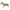 PU Leather with Bone Designs Pet Dog Collar Pet Products, Size: L, 2.5 * 51cm, Size: L