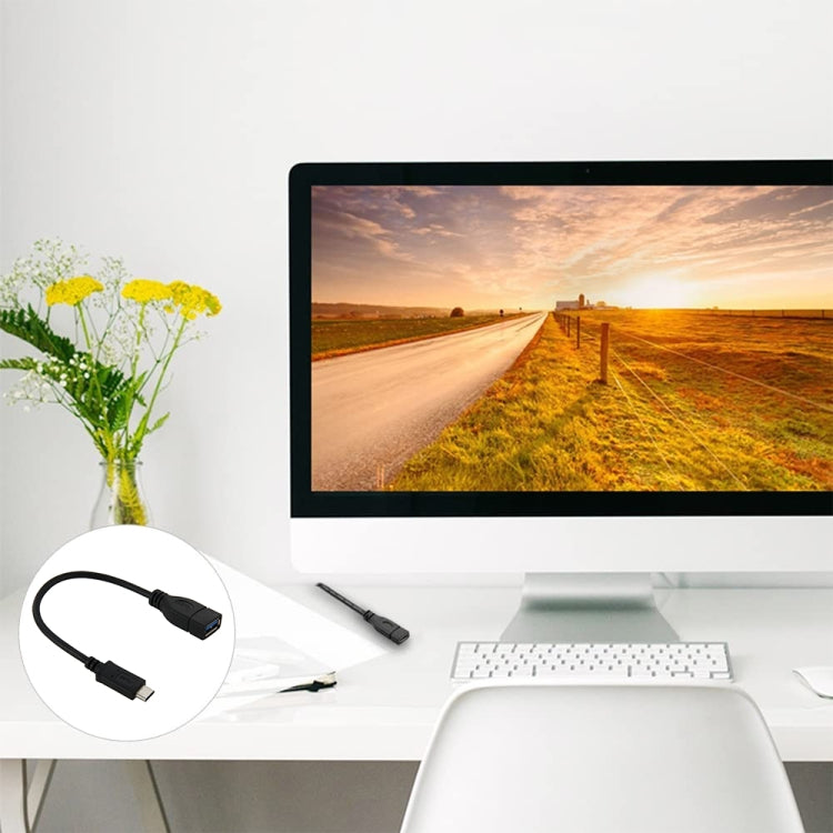 22cm USB-C / Type-C 3.1 Male to USB 3.0 Female Adapter Cable