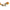For Vivo X5L Charging Port Flex Cable, For Vivo X5L