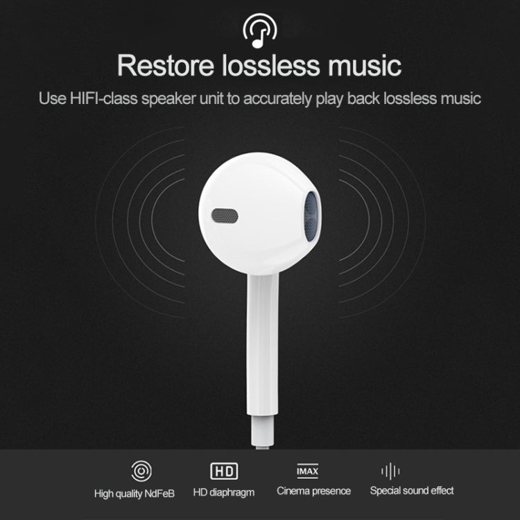USB-C / Type-C Interface In Ear Wired HiFi Mega Bass Earphone with Mic