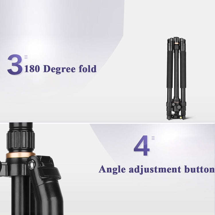 Q222 Portable 4-Section Folding Legs Aluminum Alloy Tripod Mount Monopod Holder with Ball Heads