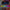 A2905 5.1 inch IPS Capacitive Screen Single Butt Carplay Player, Style:, Standard, Standard+4 Light Camera, Standard+8 Light Camera, Standard+12 Light Camera, Standard+AHD Light Camera